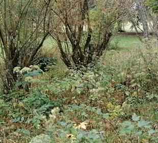 Schaugarten Eninger Weide