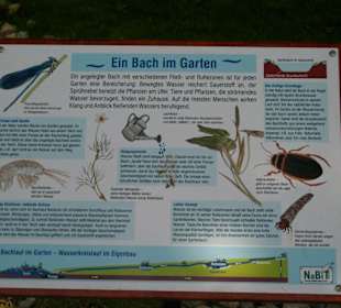 Ein Bach im Garten
