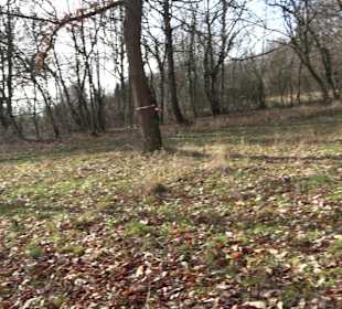 Grillplatz Tellerhecke