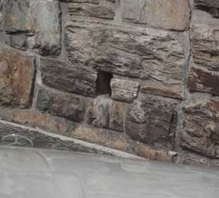 Die Schutzmauer auch hier Lackspuren