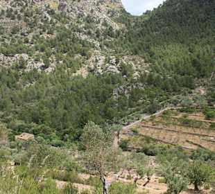 Sa Costera