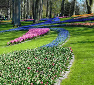 Blumenpracht im Keukenhof