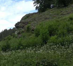 Premiumwanderweg "hochgehackert"