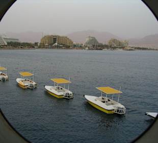 Aussicht (aus der Toilette)