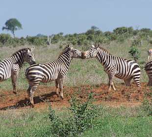 Seid nett zueinander