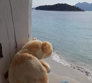 Strand Puerto de Pollensa