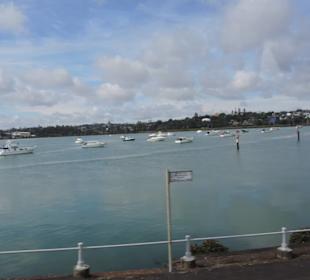 Mit dem Hop on Hop off Bus in Auckland unterwegs