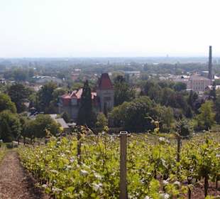 Blick auf Bad Vöslau