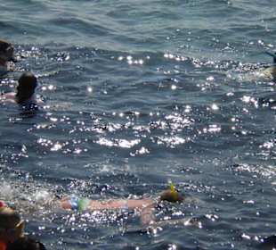 Unsere Tochter sah wunderschöne Fische!