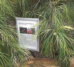 Tropicarium - Trockentropen