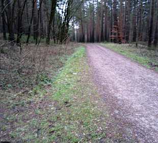 Geradeaus geht auch der Weg weiter