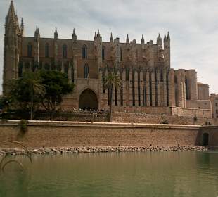 Kathedrale La Seu