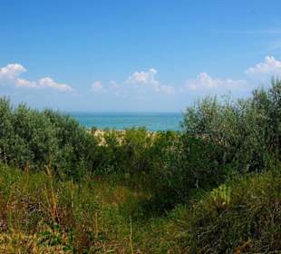 Vorne das Meer der höchste Punkt dort