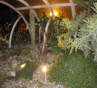 Ogród na dachu terminala