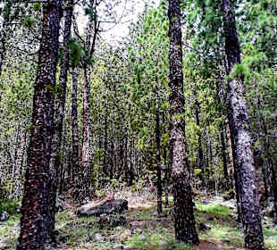 Traumhafte Landschaft