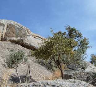 Felslandschaft am Bafasee