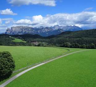 Blick aus der Seilbahn auf die Hänge des Ritten