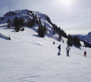 Skigebiet Loferer Almenwelt