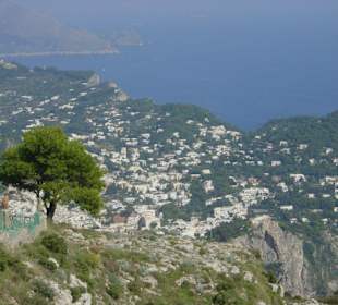 Monte Solar