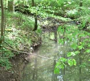 Naturpark Schönbuch