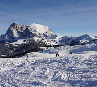 Gruppo del Sassolungo dall'Alpe di Siusi