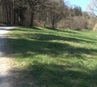 Waldkulturerbe Neuweiler Viehweide