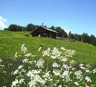 Blütenwanderung auf der Seiser Alm