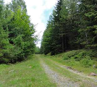 Wandern Swieradow Zdroj/Bad Flinsberg