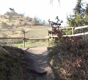 Hirschauer Spitzbergwegle (Premiumspazierwanderweg