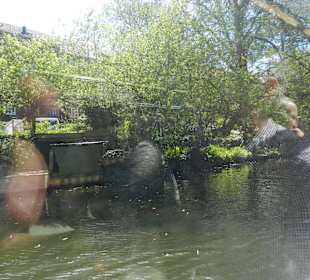 Alsterkanalrundfahrt 