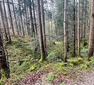 Malerwinkel am Königssee