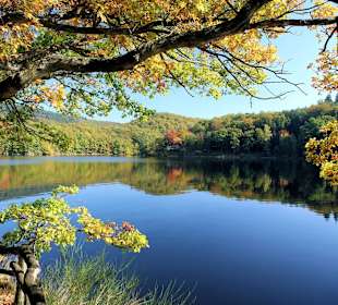 Wandern Talbachsperre Rollesbroch