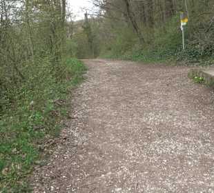 Wanderung rund um das Rusenschloss Gerhausen
