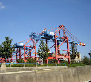 Hamburg - Auge in Auge mit den Giganten