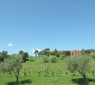 Wunderschöne Natur im Raum Blenheim