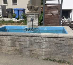 Dorfbrunnen Stein