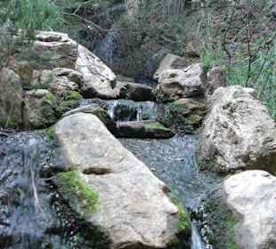 La Reseva - Parc de Natural