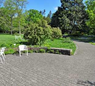 Eindrücke vom Spaziergang durch den Stadtpark