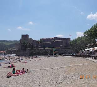 Collioure
