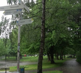 Wanderung rund um den Stadtsee
