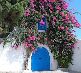 Künstlerdorf Sidi Bou Saïd