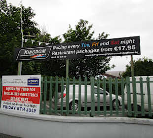 Windhundrennen Tralee