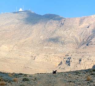 Ausflug Jebel Harim