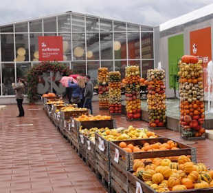 Raffeiner Orchideenwelt