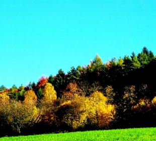 Die schönsten Bilder der Gegend