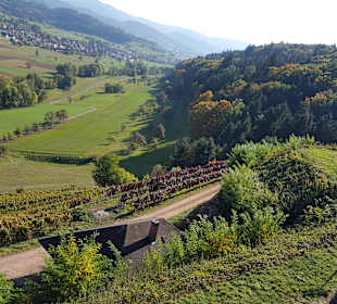 Hochburg