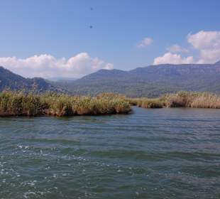 Dalyan