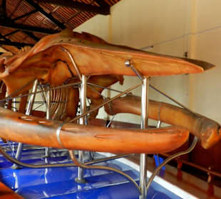 Phan Thiet Walmuseum