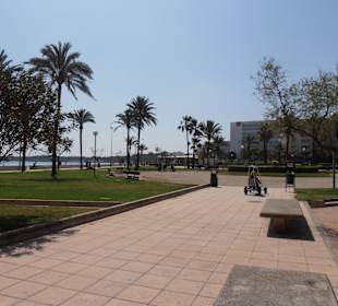 Strand Cala Millor