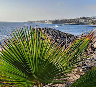 Strand La Caleta de Adeje